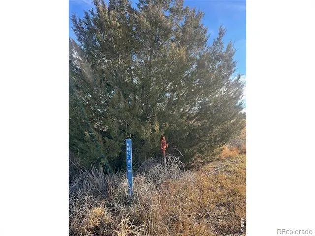 4956 County Rd H Wiggins, CO 80654