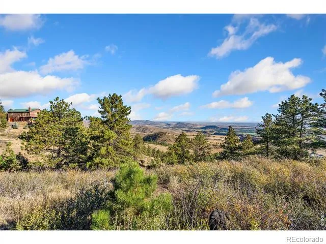 6508 Jackpine Drive Bellvue, CO 80512