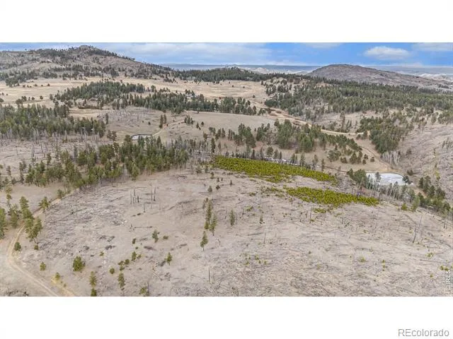 0 Tip Top Road Bellvue, CO 80512