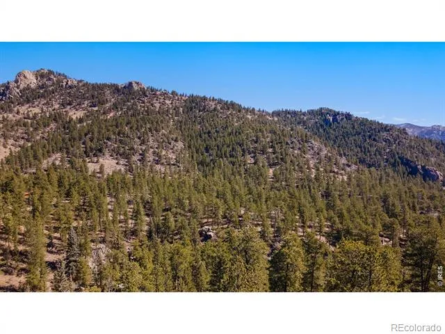 105 Fox Creek Road Glen Haven, CO 80532