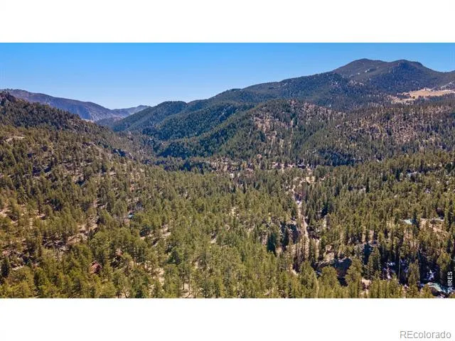 105 Fox Creek Road Glen Haven, CO 80532