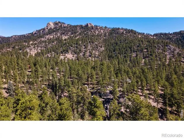 105 Fox Creek Road Glen Haven, CO 80532
