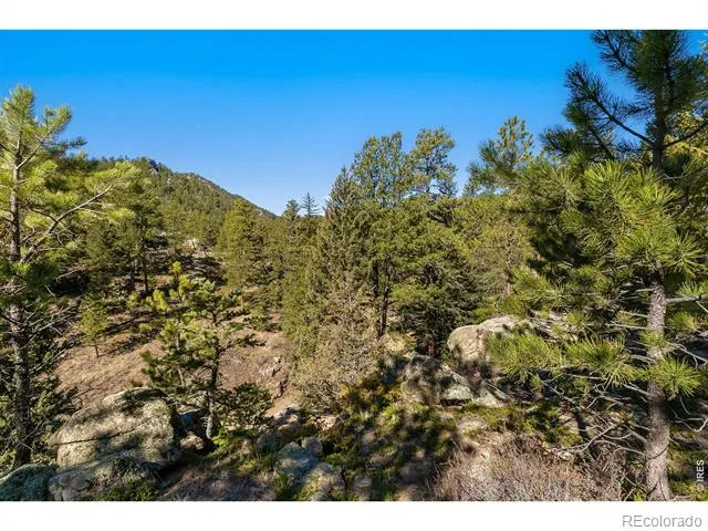 105 Fox Creek Road Glen Haven, CO 80532