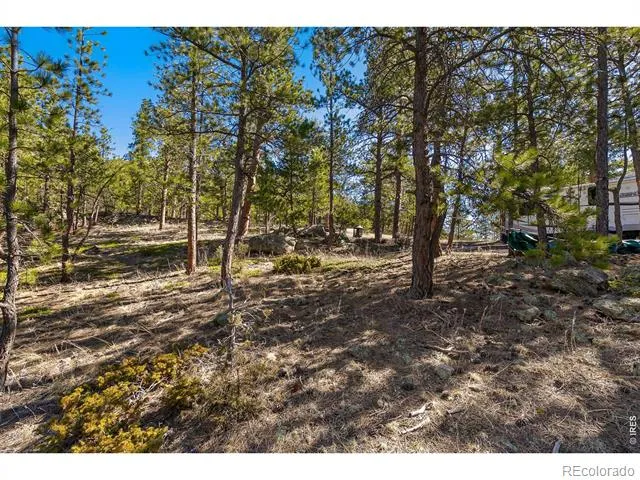 105 Fox Creek Road Glen Haven, CO 80532