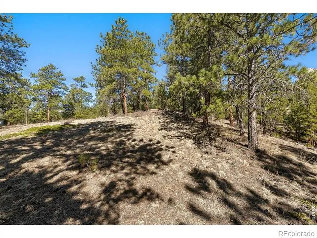 105 Fox Creek Road Glen Haven, CO 80532