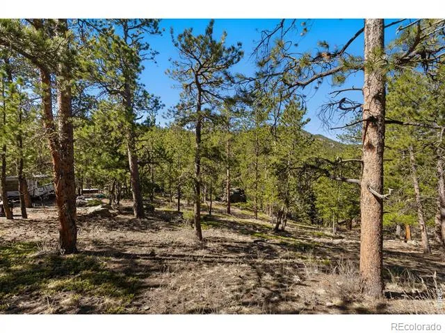 105 Fox Creek Road Glen Haven, CO 80532