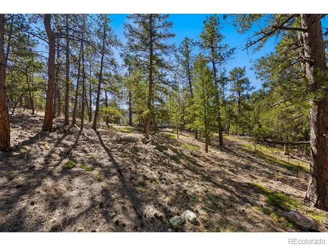 105 Fox Creek Road Glen Haven, CO 80532