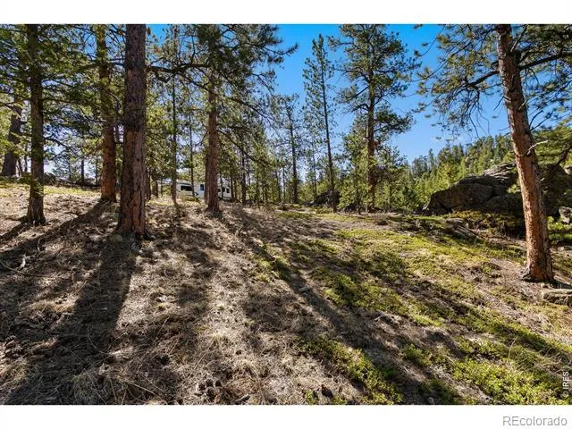 105 Fox Creek Road Glen Haven, CO 80532