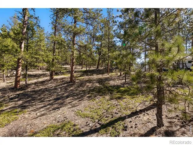 105 Fox Creek Road Glen Haven, CO 80532