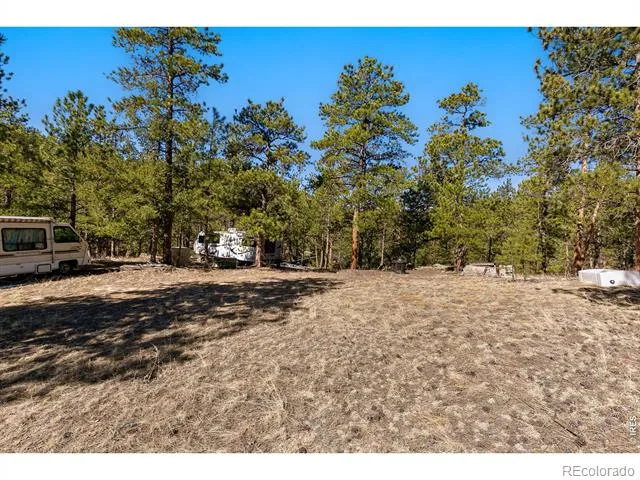 105 Fox Creek Road Glen Haven, CO 80532