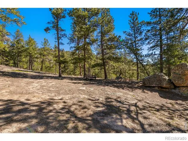 105 Fox Creek Road Glen Haven, CO 80532