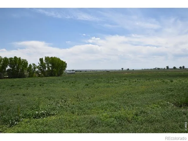 3113 County Road 17 Brighton, CO 80603