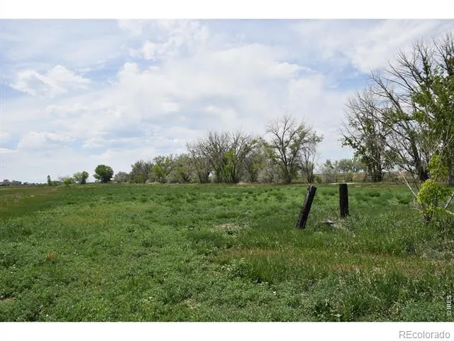 3113 County Road 17 Brighton, CO 80603