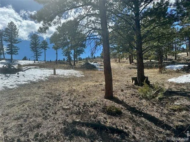 783 Dixon Road Boulder, CO 80302