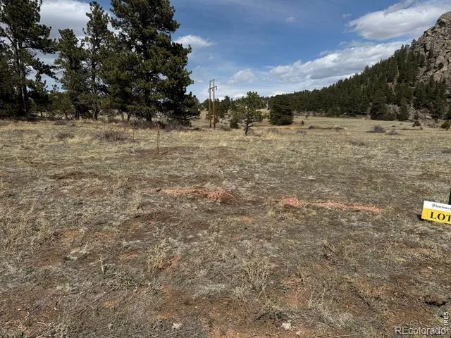 Shoshana Ranch Road Livermore, CO 80536