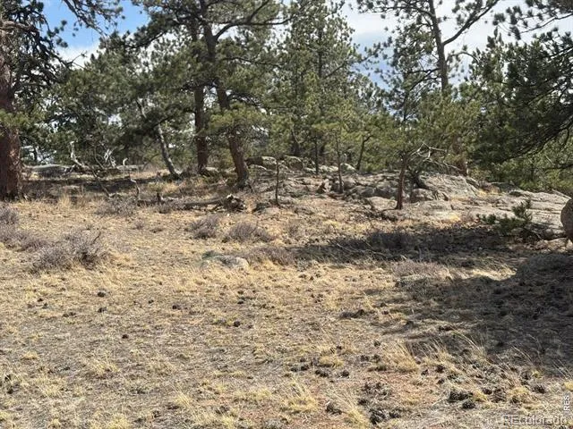 Shoshana Ranch Road Livermore, CO 80536