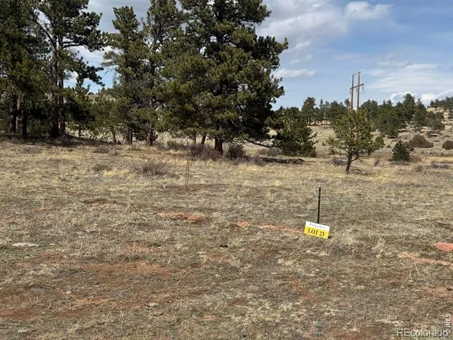Shoshana Ranch Road Livermore, CO 80536
