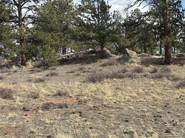 Shoshana Ranch Road Livermore, CO 80536