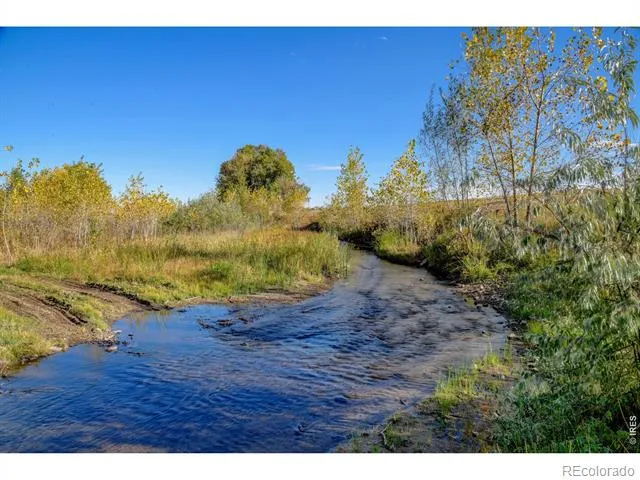 Rodney Lane Berthoud, CO 80513
