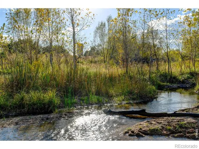 Rodney Lane Berthoud, CO 80513