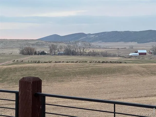3310 W County Road 80 Wellington, CO 80549