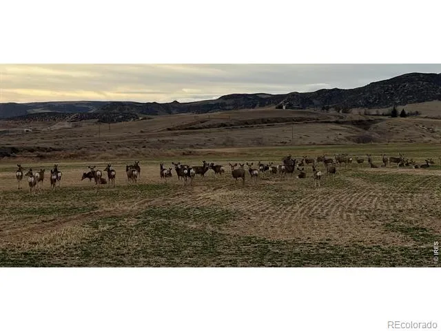 3310 W County Road 80 Wellington, CO 80549