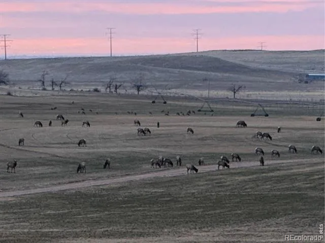 3310 W County Road 80 Wellington, CO 80549