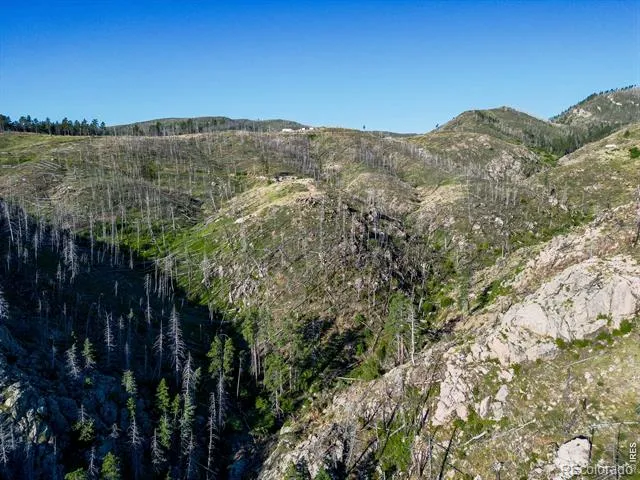 100 Canyon Gulch Road Bellvue, CO 80512