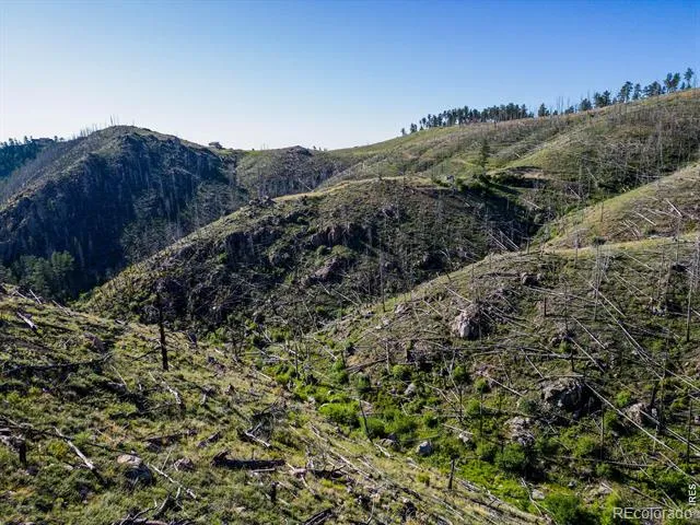 100 Canyon Gulch Road Bellvue, CO 80512