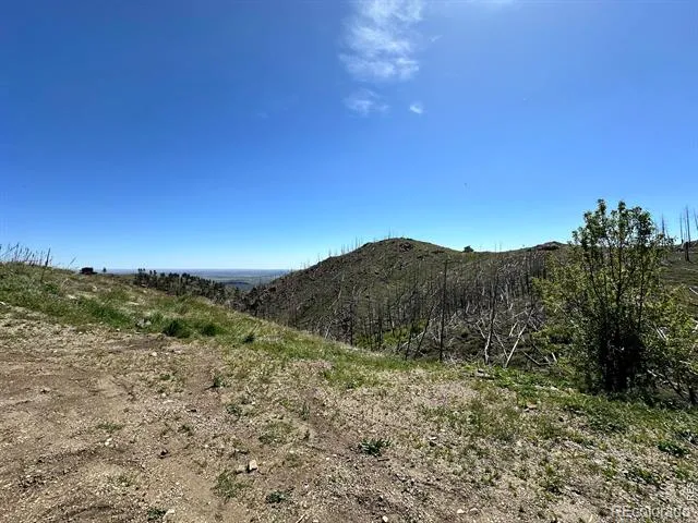 100 Canyon Gulch Road Bellvue, CO 80512