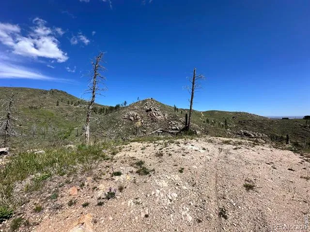 100 Canyon Gulch Road Bellvue, CO 80512