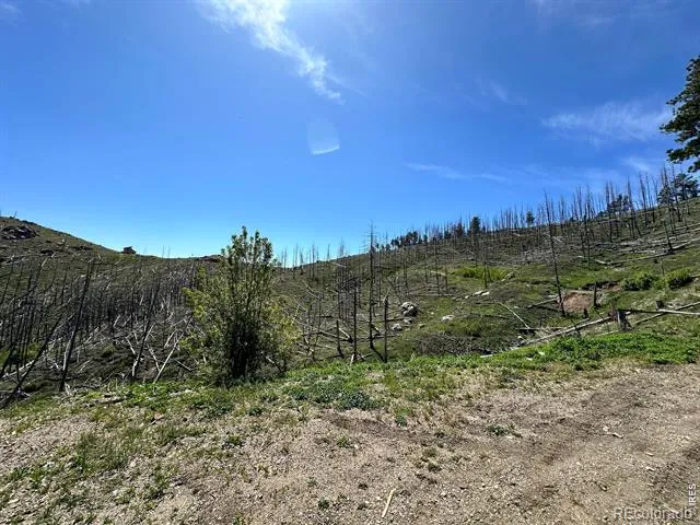 100 Canyon Gulch Road Bellvue, CO 80512
