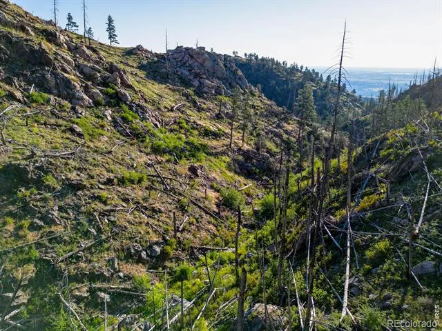 100 Canyon Gulch Road Bellvue, CO 80512