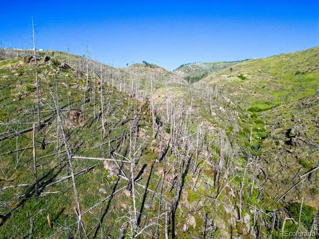 100 Canyon Gulch Road Bellvue, CO 80512