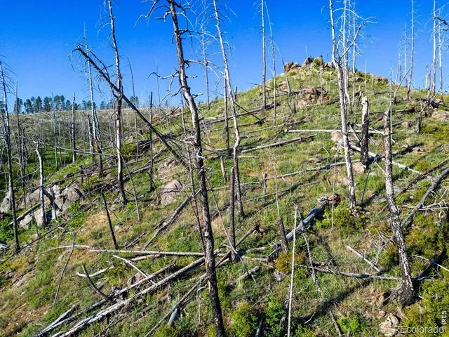 100 Canyon Gulch Road Bellvue, CO 80512