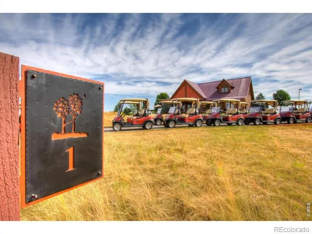 3711 Tall Grass Court Timnath, CO 80547