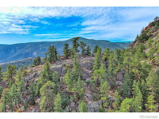 10697 County Road 43 Drake, CO 80515