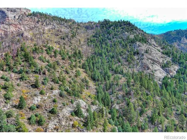 10697 County Road 43 Drake, CO 80515