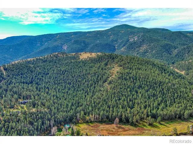 10697 County Road 43 Drake, CO 80515
