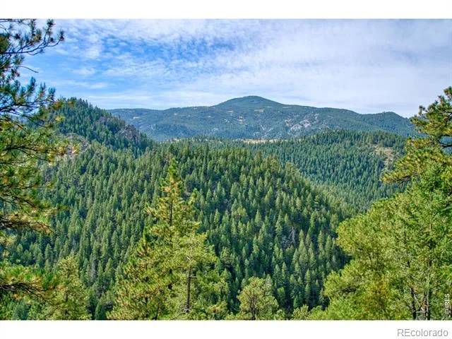 10697 County Road 43 Drake, CO 80515