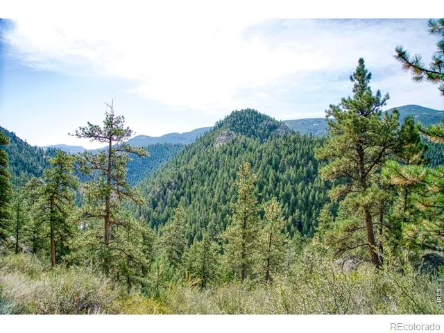10697 County Road 43 Drake, CO 80515