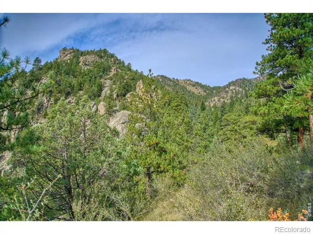 10697 County Road 43 Drake, CO 80515