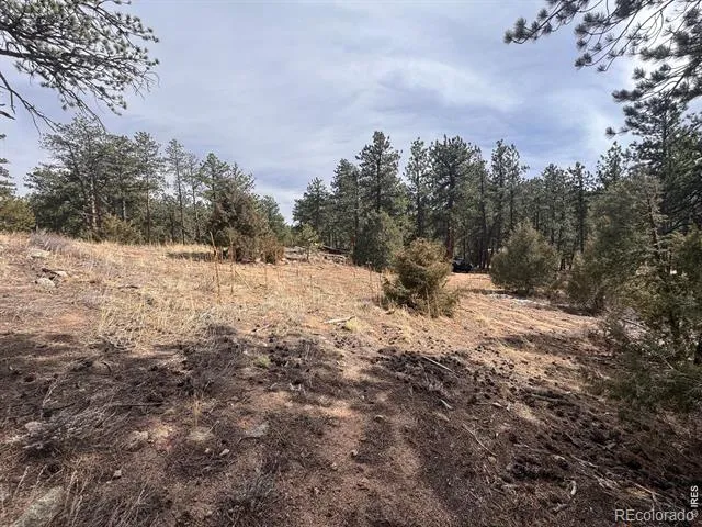 0 Cedar Drive Lyons, CO 80540