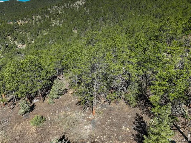0 Cedar Drive Lyons, CO 80540