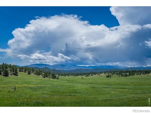 Mountain Pony Road Livermore, CO 80536
