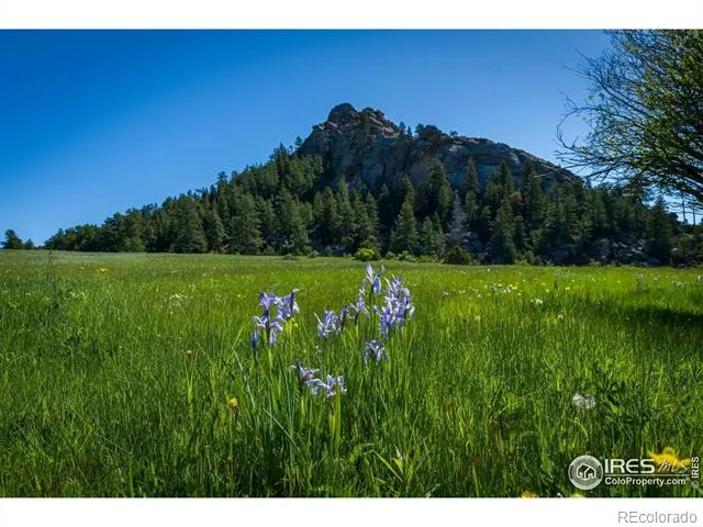 Shoshana Ranch Road Livermore, CO 80536