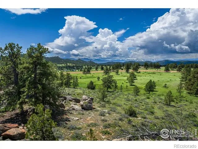 Shoshana Ranch Road Livermore, CO 80536