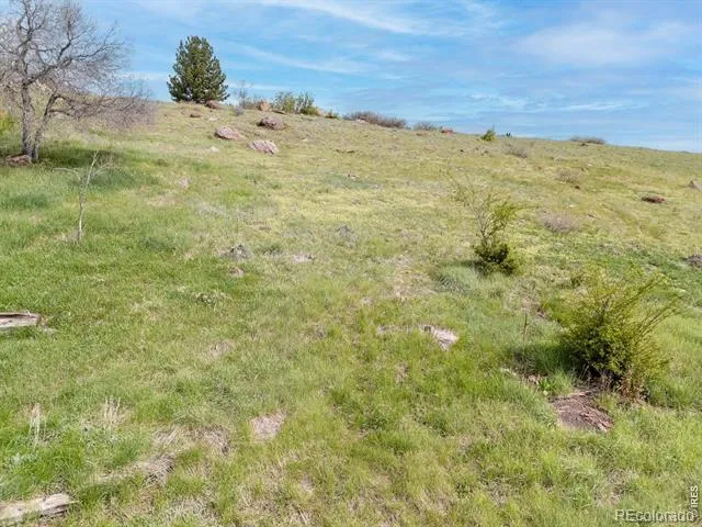1965 Kohler Drive Boulder, CO 80305