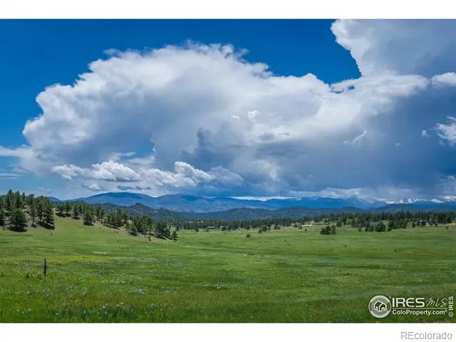 Shoshana Ranch Road Livermore, CO 80536