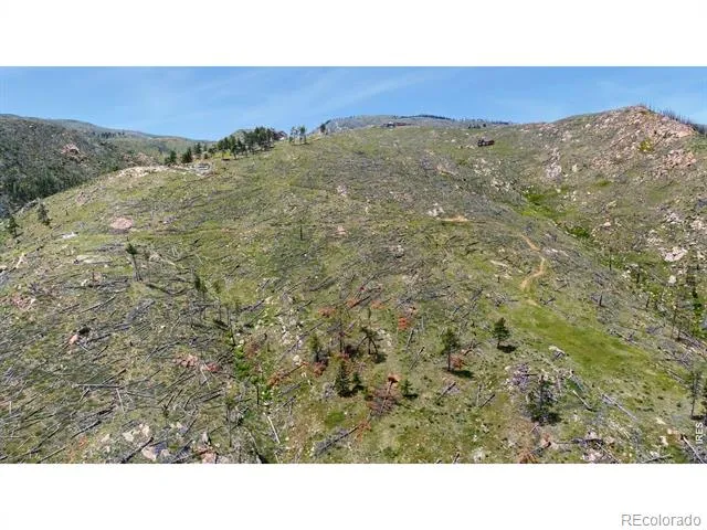 898 Hernia Hill Trail Bellvue, CO 80512